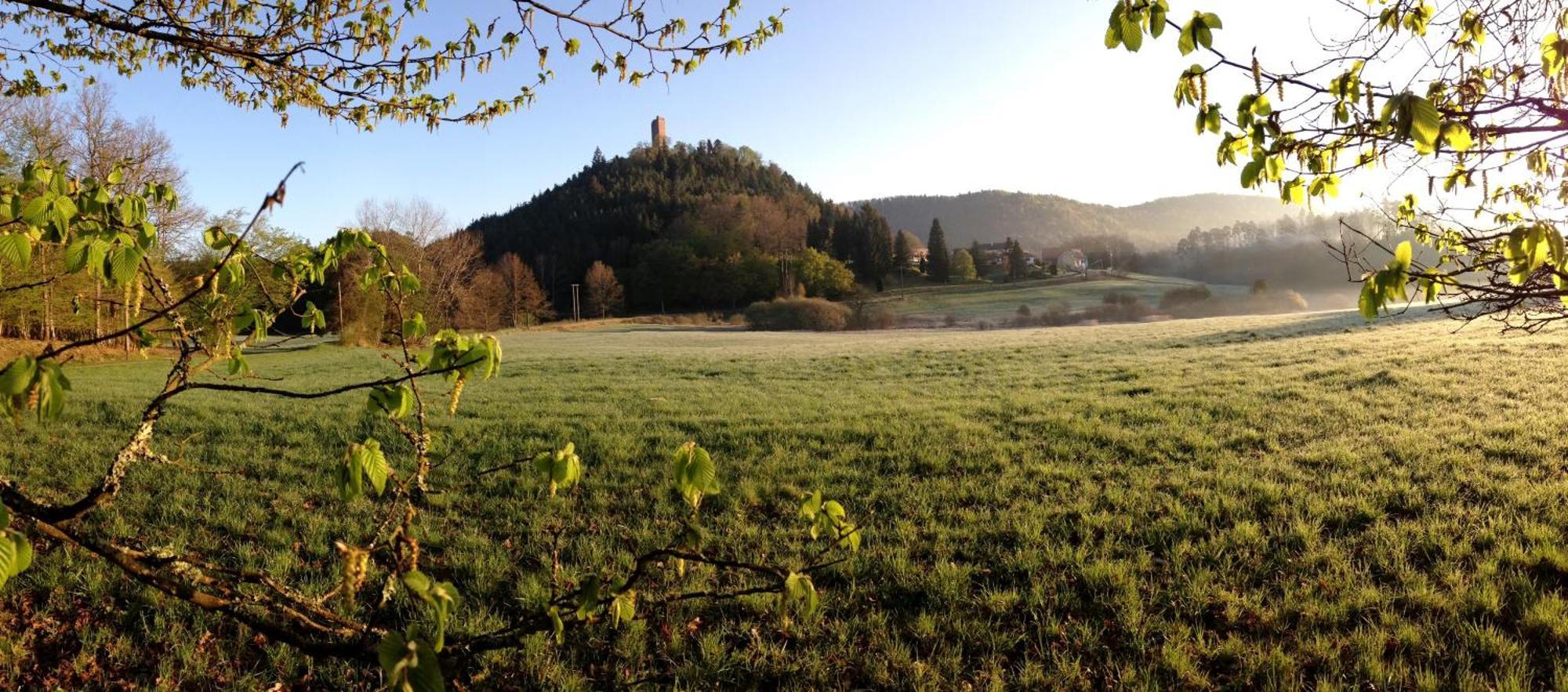 Le Gite De L'Ecureuil Sturzelbronn Экстерьер фото