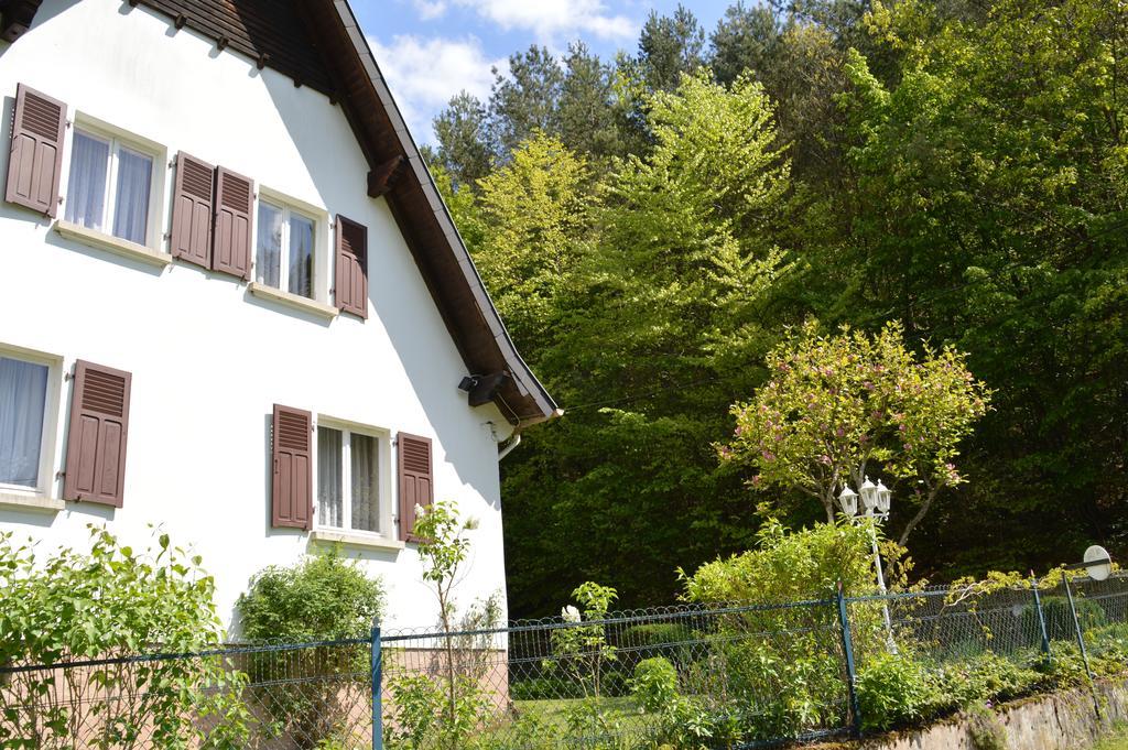 Le Gite De L'Ecureuil Sturzelbronn Экстерьер фото